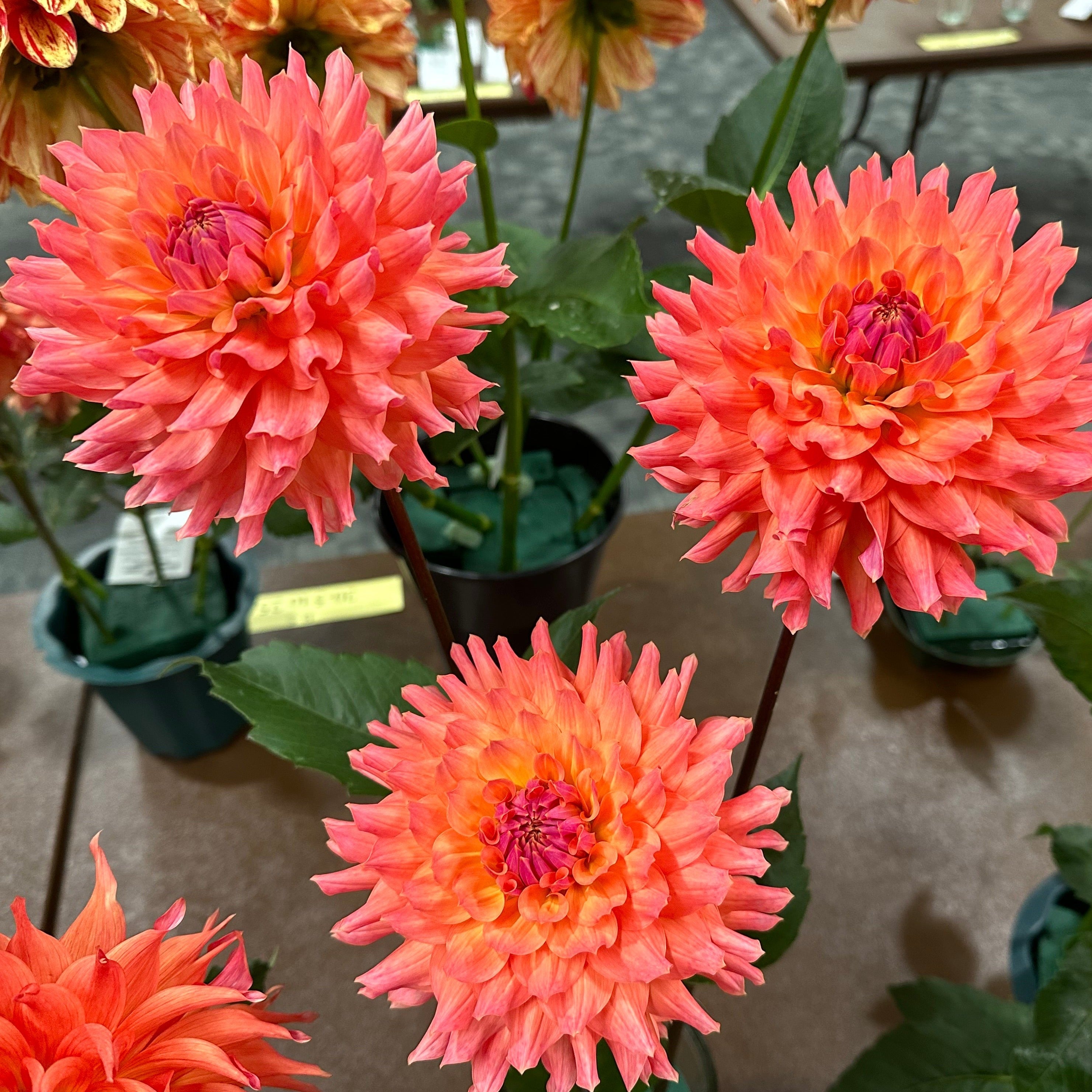 No1101 ローズクォーツ ダイヤモンドカット オブジェ No1101 ローズクォーツ ダイヤモンドカット オブジェ ローズカット