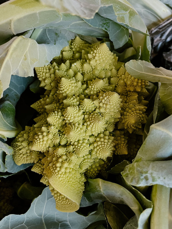 romanesco