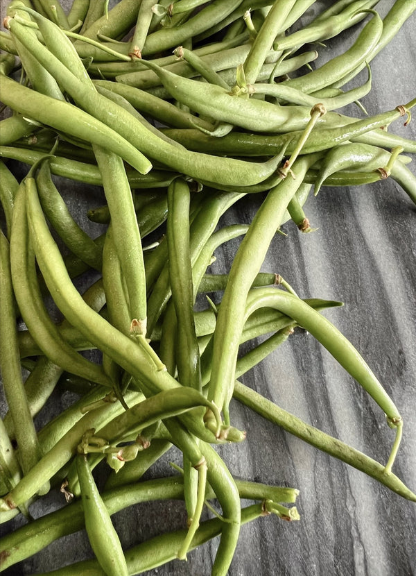 Bush beans in a pile