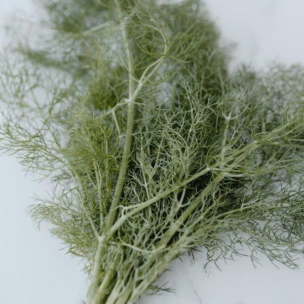 A bunch of fresh dill