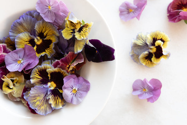 Edible Spring Flowers