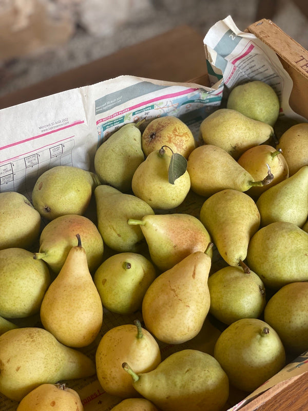 Pear + Rosemary Shortcakes