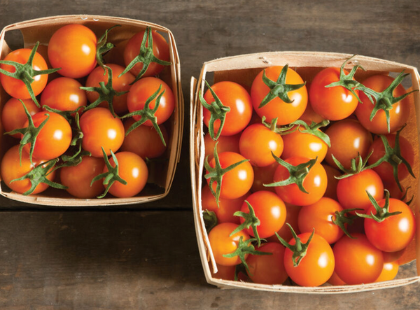 Sungold tomatoes in woven baskets