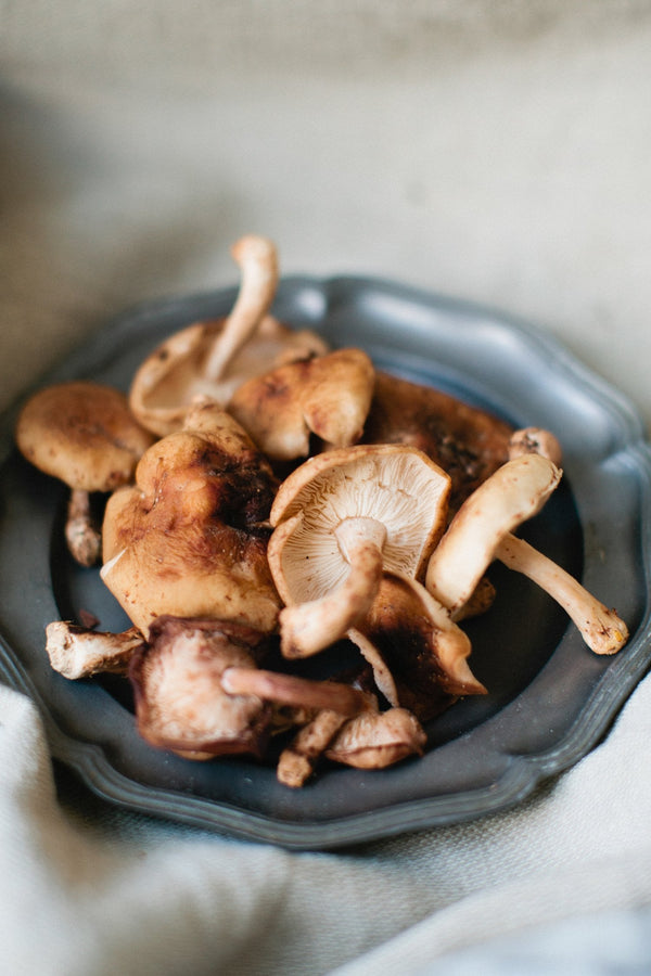 Shiitake mushrooms in a bowl