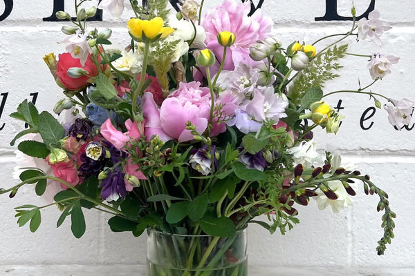 Week Seven | Summer’s Edge: Squash, Snap Beans & a Blooming