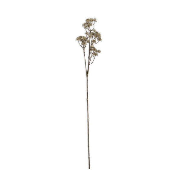 Natural Aralia Stem, 33" - Stone Hollow Farmstead