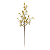 Orange & Green Hops Stem, 32" - Stone Hollow Farmstead
