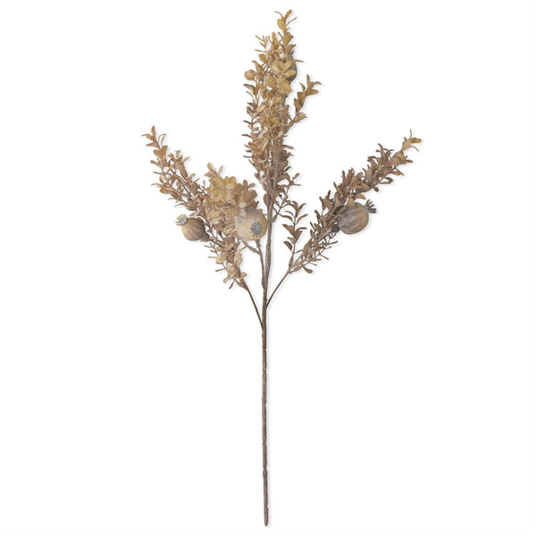 Gray Poppy Pod w/ Foliage Spray, 26" - Stone Hollow Farmstead