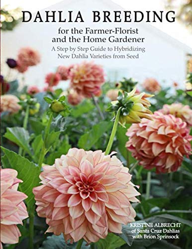 Dahlia Breeding for the Farmer-Florist and the Home Gardener - Stone Hollow Farmstead