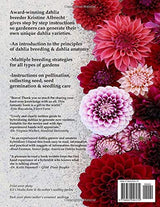 Dahlia Breeding for the Farmer-Florist and the Home Gardener - Stone Hollow Farmstead