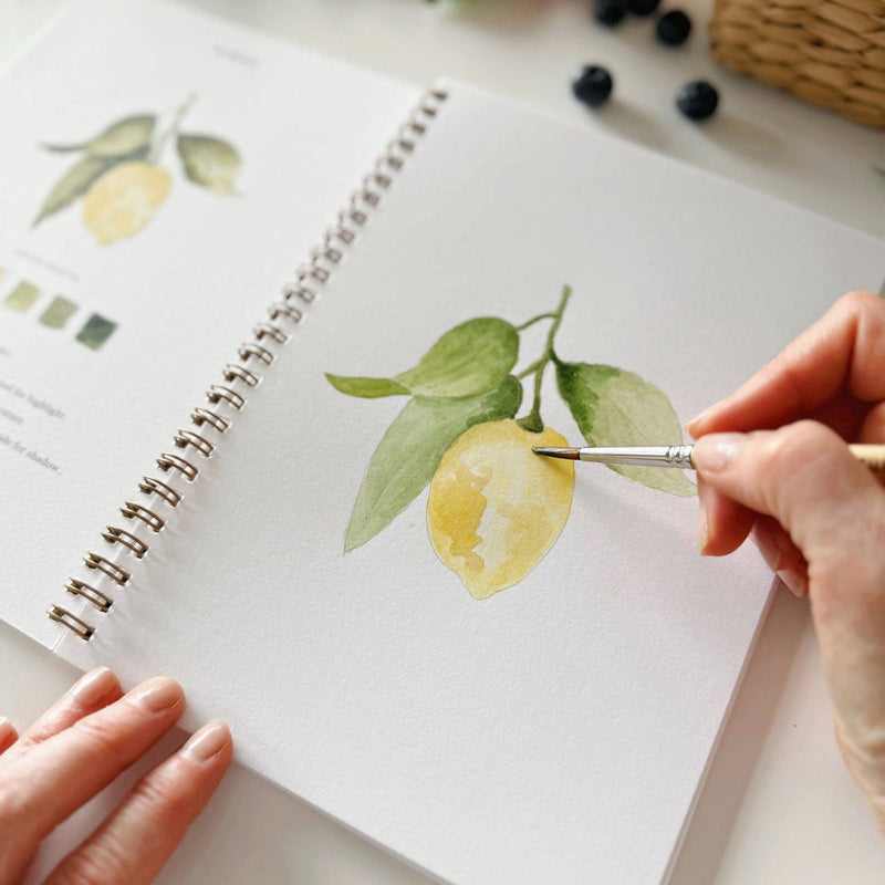 Fruit Watercolor Workbook - Stone Hollow Farmstead