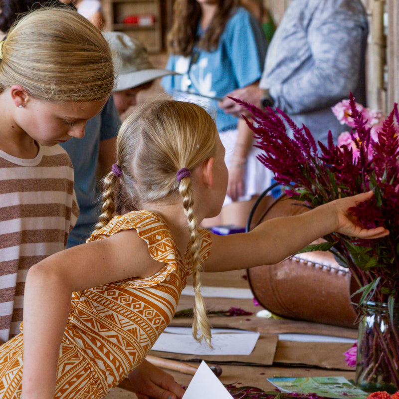 COMING SOON DAHLIA DAY 2025 TICKETS - Stone Hollow Farmstead