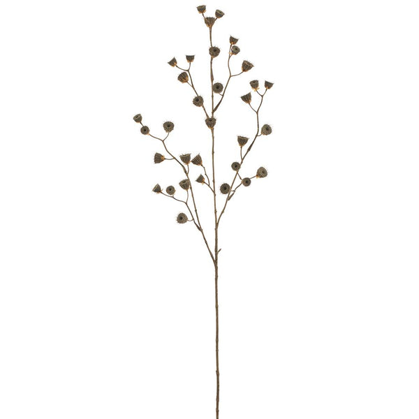 Abutilon Seed Spray 39" - Stone Hollow Farmstead