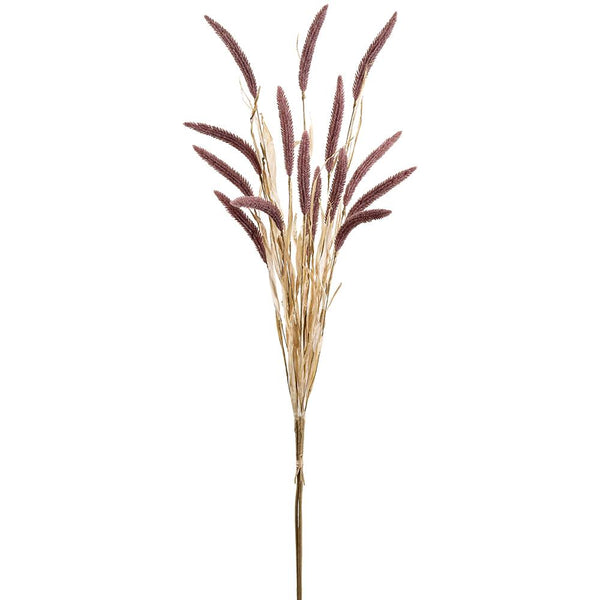 Amaranthus Bundle, 44.5"