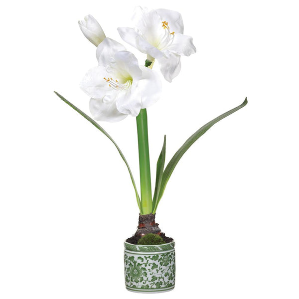 Amaryllis in Ceramic Vase, 20" - Stone Hollow Farmstead