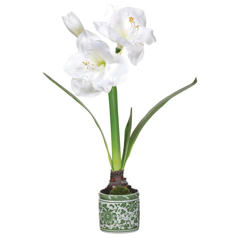 Amaryllis in Ceramic Vase, 20" - Stone Hollow Farmstead