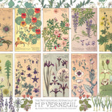 Botanicals by Verneuil 1000pc puzzle Stone Hollow Farmstead