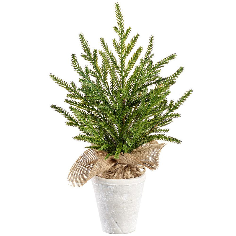 Cypress Tree, 16" - Stone Hollow Farmstead