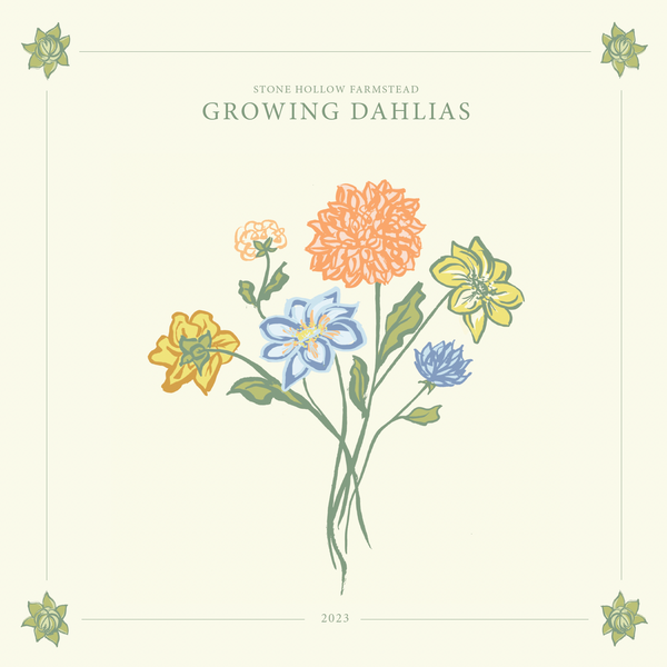 Guide to Growing Dahlias Successfully - Stone Hollow Farmstead