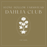 The Dahlia Club Membership - Stone Hollow Farmstead