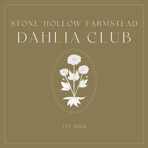 The Dahlia Club Membership - Stone Hollow Farmstead