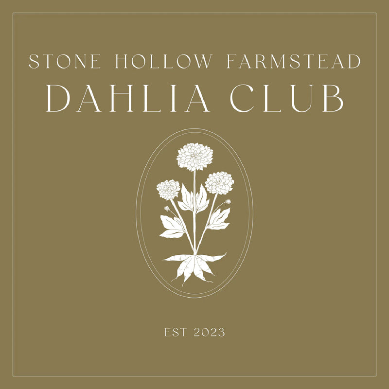The Dahlia Club Membership - Stone Hollow Farmstead