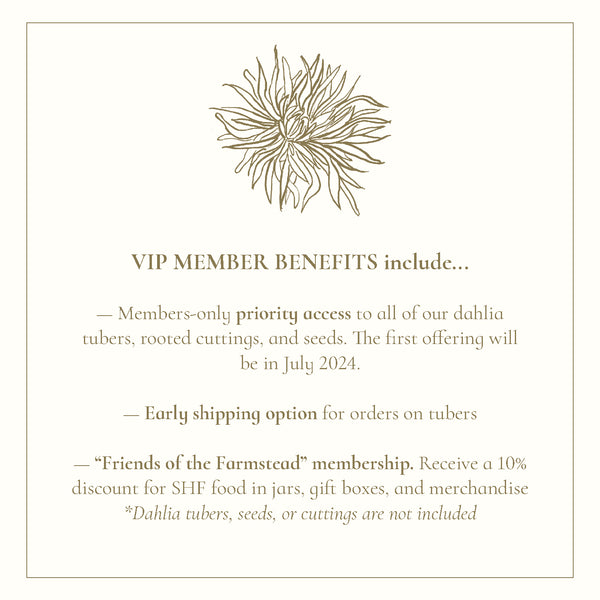 The Dahlia Club Membership - Stone Hollow Farmstead