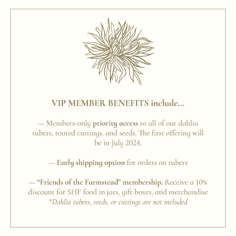 The Dahlia Club Membership - Stone Hollow Farmstead