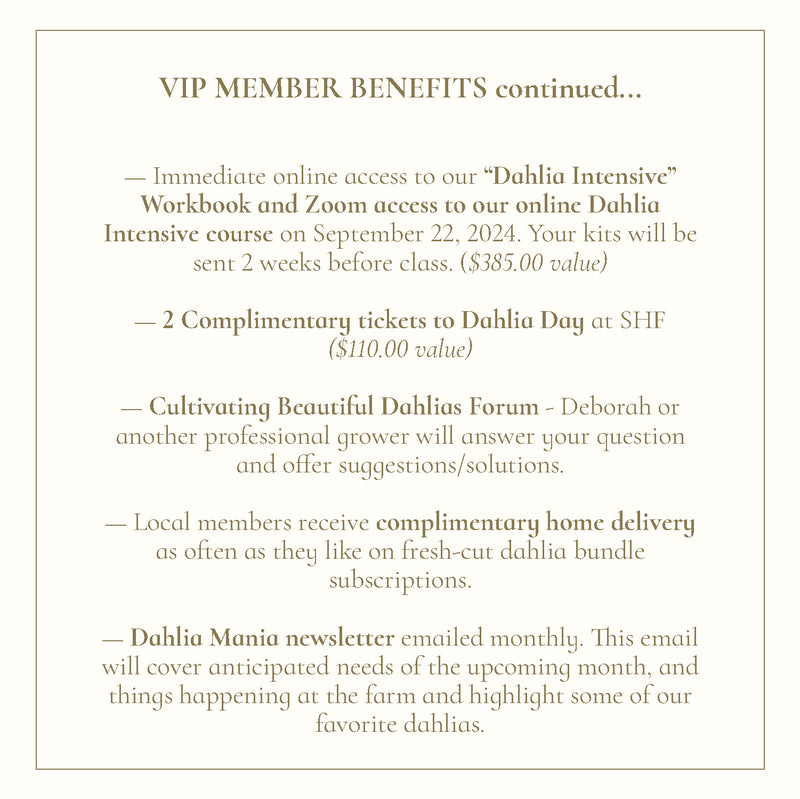 The Dahlia Club Membership - Stone Hollow Farmstead