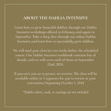 The Dahlia Club Membership - Stone Hollow Farmstead