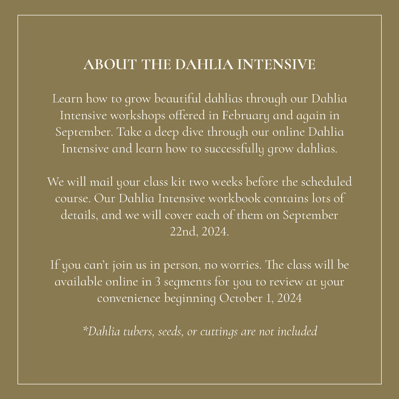 The Dahlia Club Membership - Stone Hollow Farmstead