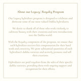 The Dahlia Club Membership - Stone Hollow Farmstead