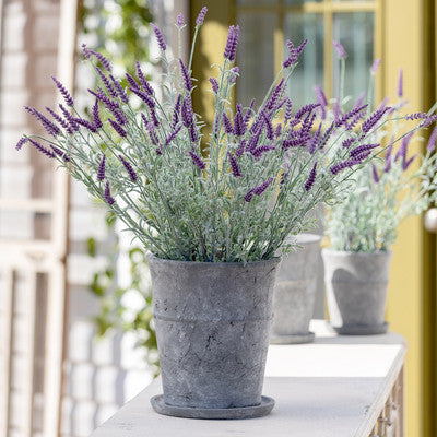 Cement Garden Pots - Stone Hollow Farmstead