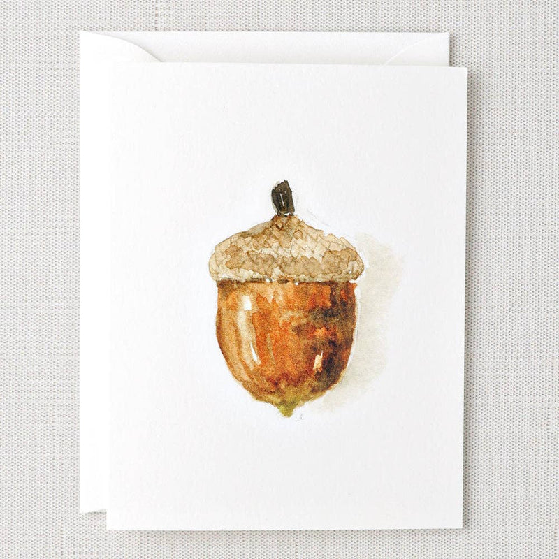 Acorn watercolor notecard by Emily Lex, single card with envelope