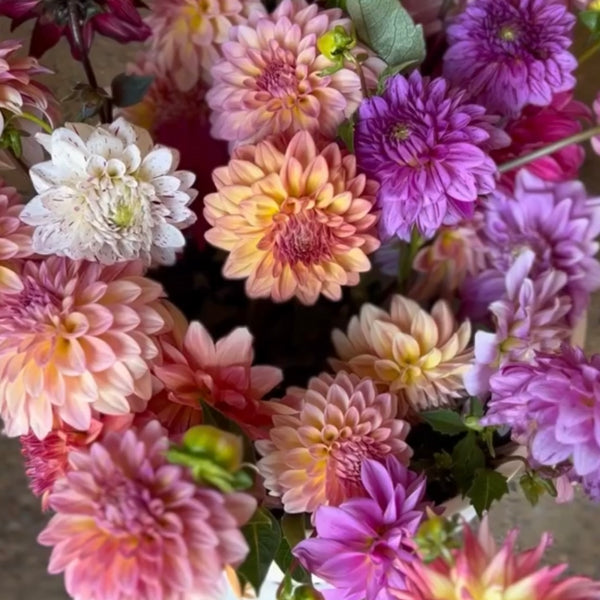The Garden-Gathered Dahlia Bucket - Stone Hollow Farmstead