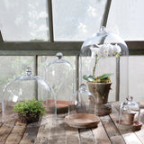 Glass Cloche - Stone Hollow Farmstead