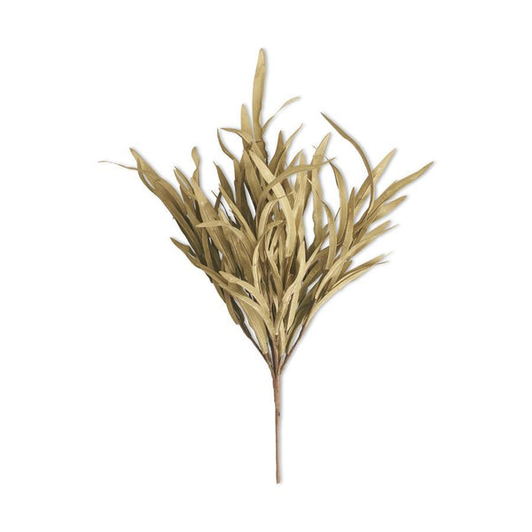 Green Eva Grass Bush, 24" - Stone Hollow Farmstead