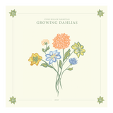 Guide to Growing Dahlias Successfully - Stone Hollow Farmstead