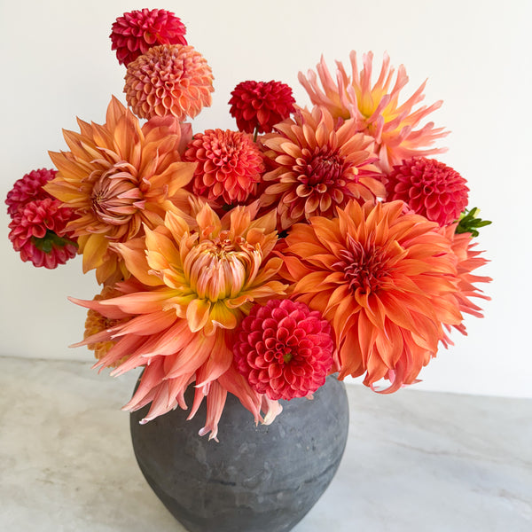 Monochrome Study Arrangement  | Fresh Florals - Stone Hollow Farmstead
