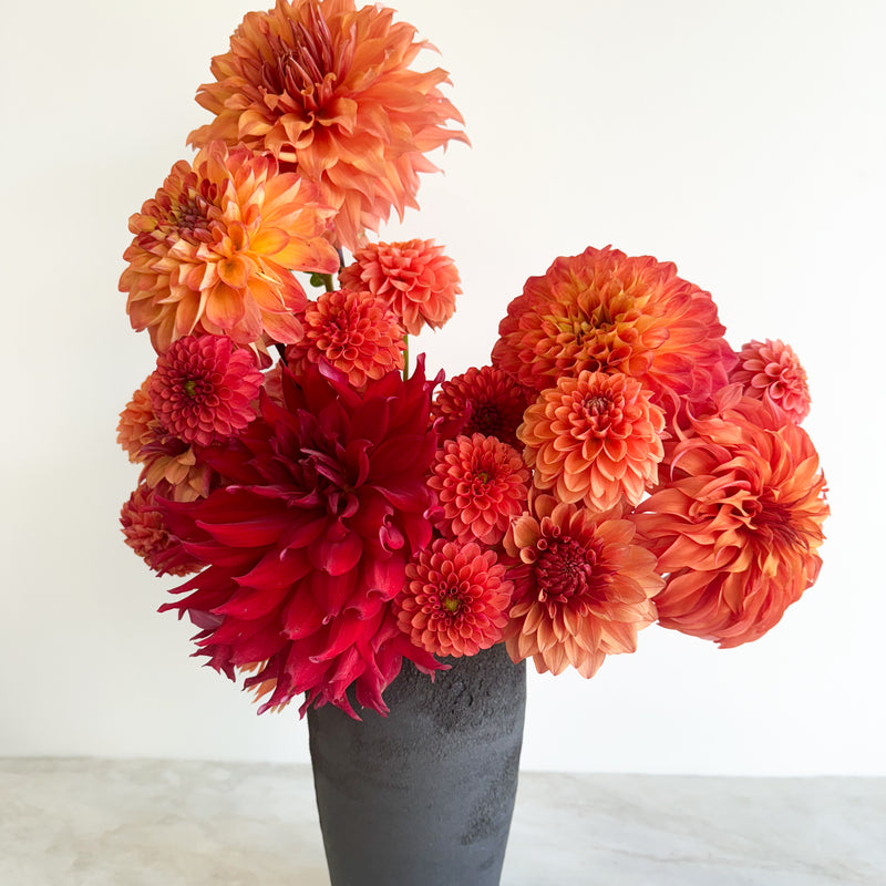 Monochrome Study Arrangement  | Fresh Florals
