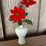 'Rival' Mignon single' | Dahlia Rooted Cutting