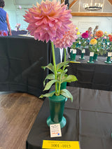'Kidd's Climax' | Dahlia Tuber | Shipping Spring 2024 - Stone Hollow Farmstead