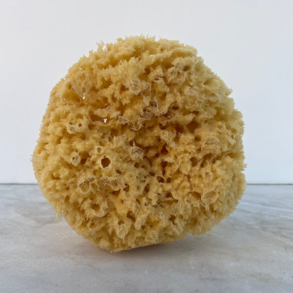 Wool Sponge - Stone Hollow Farmstead