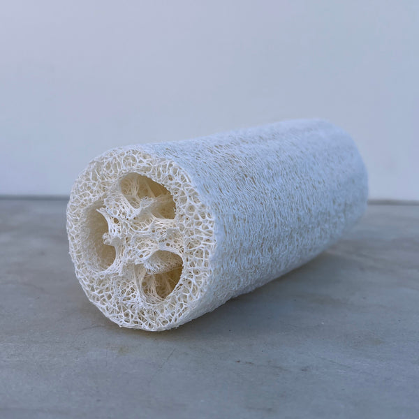 Loofahs - Stone Hollow Farmstead