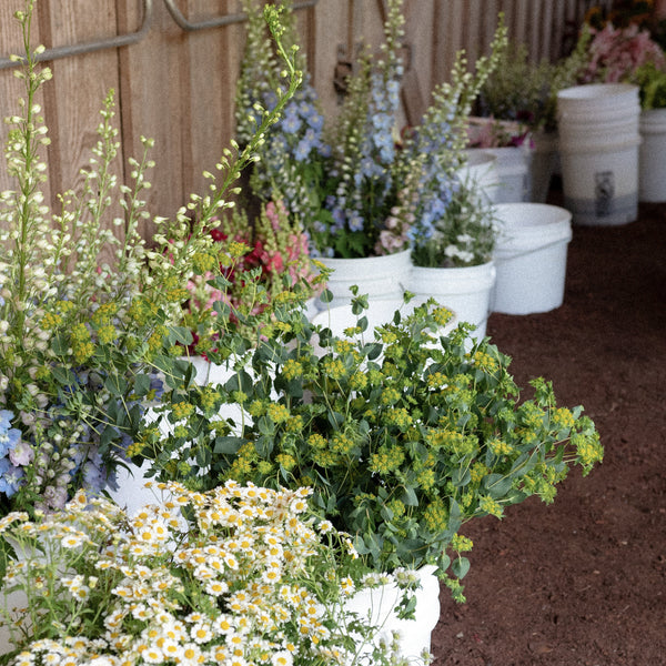 Floral Arrangement Class at Stone Hollow Farmstead