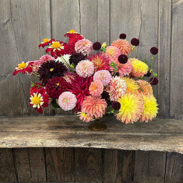 Golden Hour | Fall Florals - Stone Hollow Farmstead