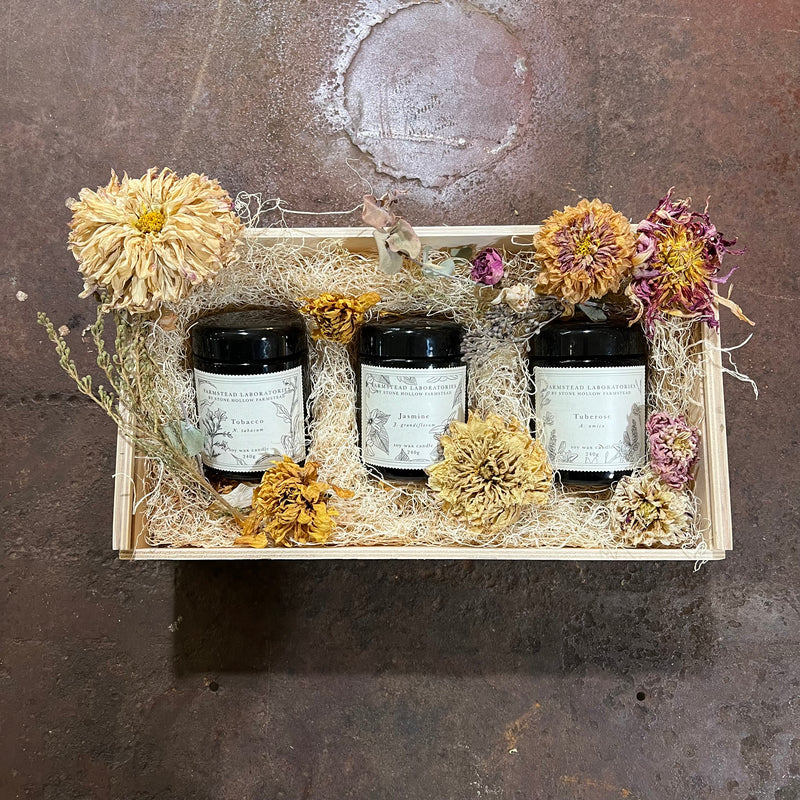 Scents of Spring Candle Set