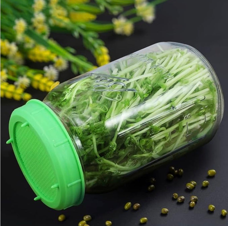 Sprouting Lids - Stone Hollow Farmstead