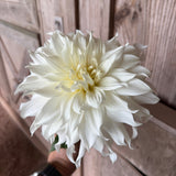 'KA's¬Æ Khaleesi' | Dahlia Tuber | Shipping March - April 2026 - Stone Hollow Farmstead