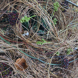Long Grapevine Bundle, 7' - Stone Hollow Farmstead